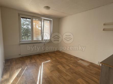 IMG_1401.jpg | Pronájem bytu, 1+1, 36 m²