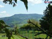 Prodej - pozemek, zahrada, 5 538 m²