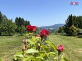 Prodej - pozemek, zahrada, 5 538 m²