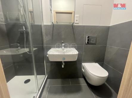 IMG_5528.jpeg | Pronájem bytu, 2+kk, 33 m²