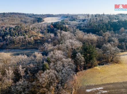 1.jpg | Prodej - pozemek, les, 685 m²