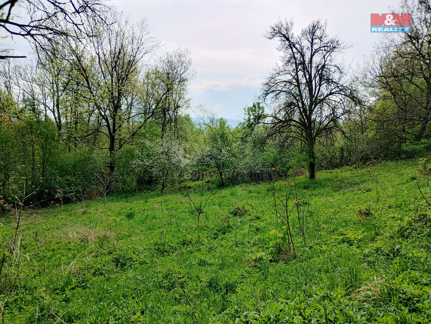 IMG_20250424_104206452_HDR.jpg