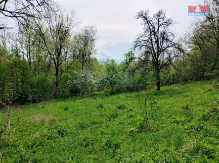 IMG_20250424_104206452_HDR.jpg | Prodej - pozemek, zahrada, 1 436 m²