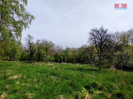 IMG_20250424_104342648.jpg | Prodej - pozemek, zahrada, 1 436 m²