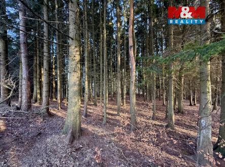 IMG_8544.jpg | Prodej - pozemek, les, 81 768 m²