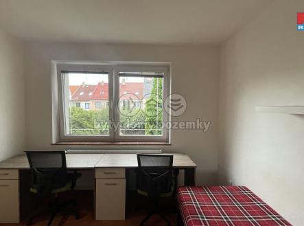 d32cc1cc-124a-4628-929b-3210c7add67e.jpeg | Pronájem bytu, 1+kk, 250 m²