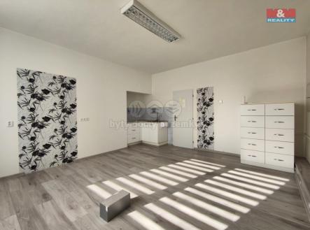 IMG_20250217_125409.jpg | Pronájem - obchodní prostor, 24 m²