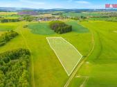 Prodej - pozemek, trvalý travní porost, 10 193 m²