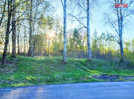 20250427_185312~2.jpg | Prodej - pozemek pro bydlení, 2 966 m²