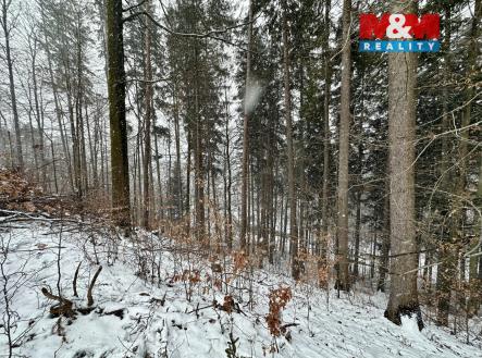 IMG_7992.jpeg | Prodej - pozemek, les, 2 745 m²