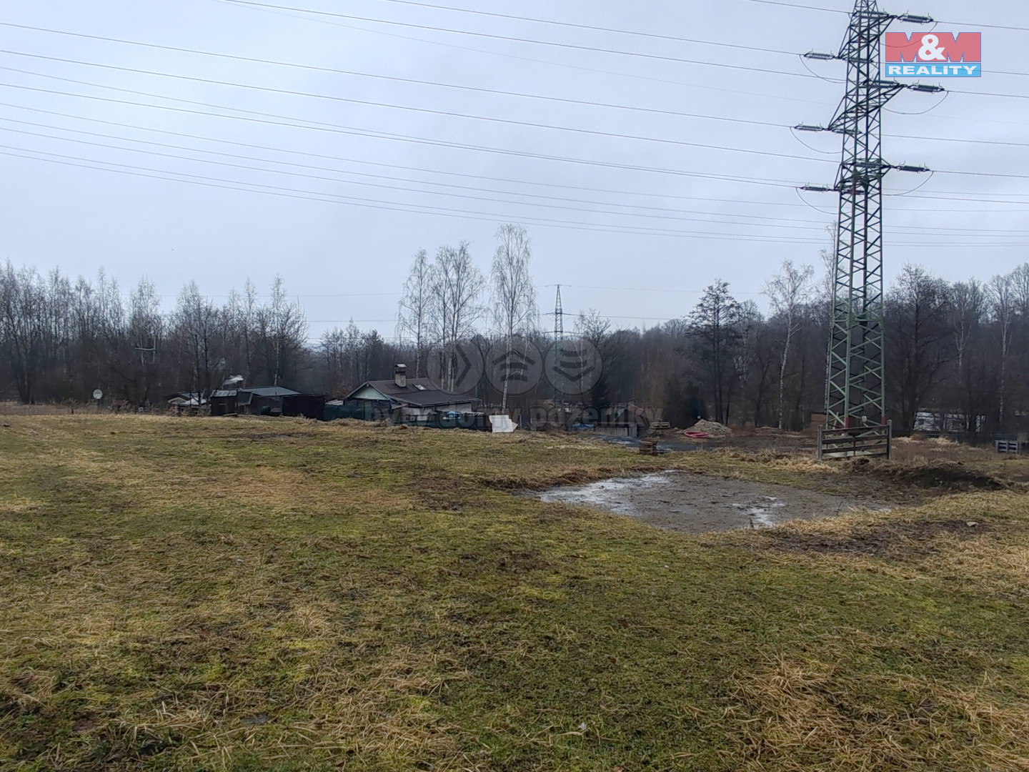 IMG_20250225_132241.jpg