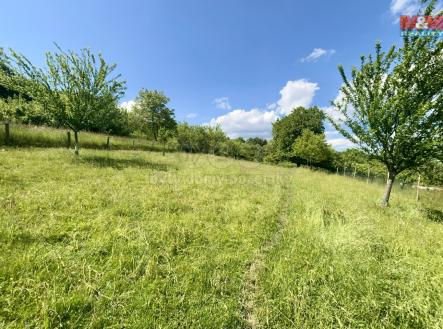 IMG_2688.jpeg | Prodej - pozemek, zemědělská půda, 3 729 m²