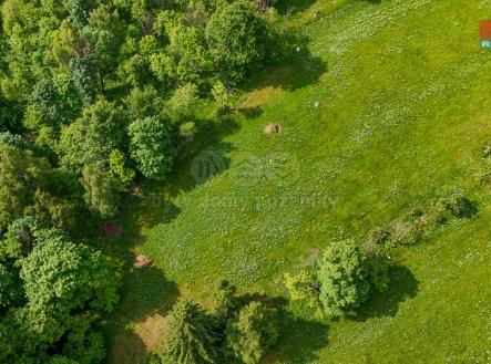 20250605_073928000_iOS.jpg | Prodej - pozemek pro bydlení, 2 450 m²