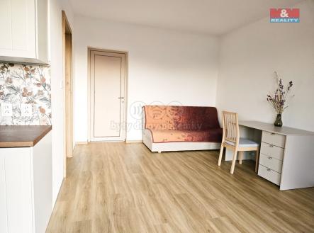 20250302_174713.jpg | Pronájem bytu, 1+kk, 30 m²