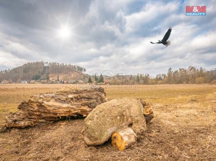 POZEMKY PORICI NAD SAZAVOU-33.jpeg | Prodej - pozemek, trvalý travní porost, 14 575 m²