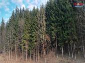 Prodej - pozemek, les, 4 785 m²