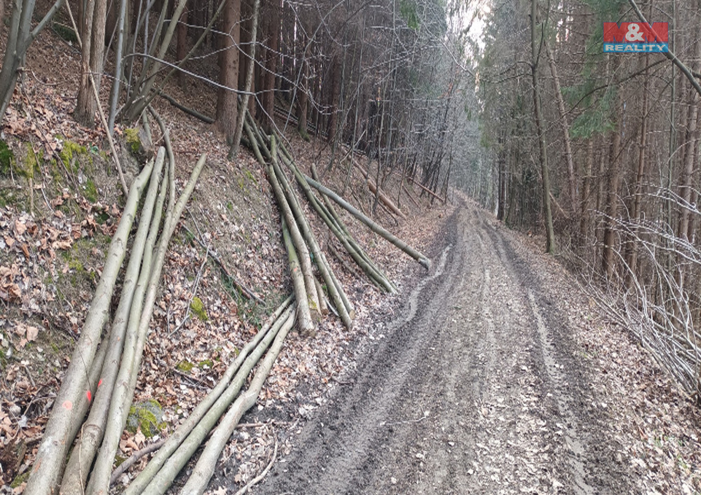příjezdová cesta.jpg
