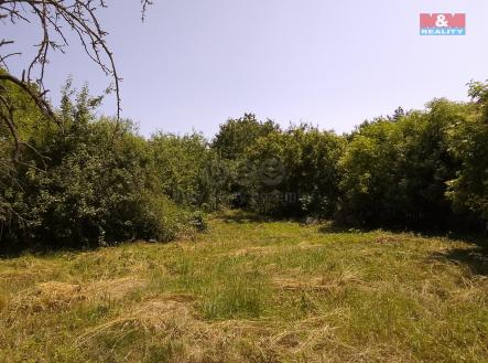 IMG_2025-06-12-13-16-01-447.jpg | Prodej - pozemek pro bydlení, 3 077 m²