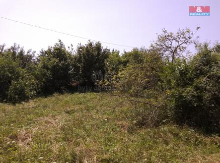 IMG_2025-06-12-13-18-00-909.jpg | Prodej - pozemek pro bydlení, 3 077 m²