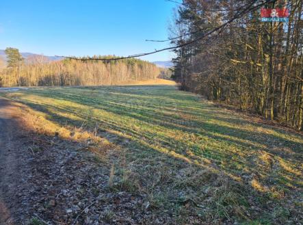 Obrázek WhatsApp, 2025-02-04 v 21.31.43_560e8b04.jpg | Prodej - pozemek, trvalý travní porost, 1 845 m²