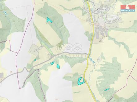 1.jpg | Prodej - pozemek, les, 13 046 m²