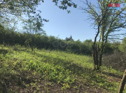 IMG_1350.jpg | Prodej - pozemek, zahrada, 388 m²