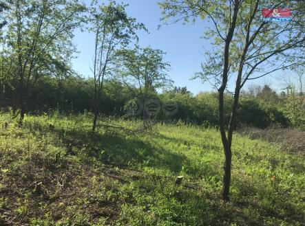 IMG_1352.jpg | Prodej - pozemek, zahrada, 388 m²