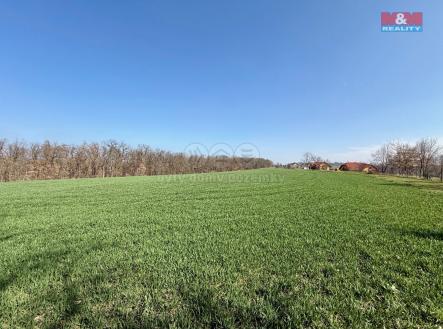IMG_1935.jpg | Prodej - pozemek, zemědělská půda, 1 598 m²
