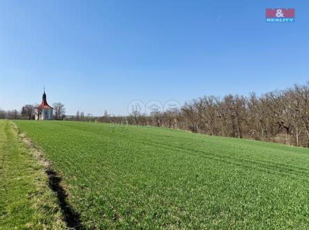 IMG_1920.jpg | Prodej - pozemek, zemědělská půda, 1 598 m²