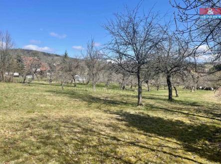foto 3.jpg | Prodej - pozemek pro bydlení, 3 218 m²