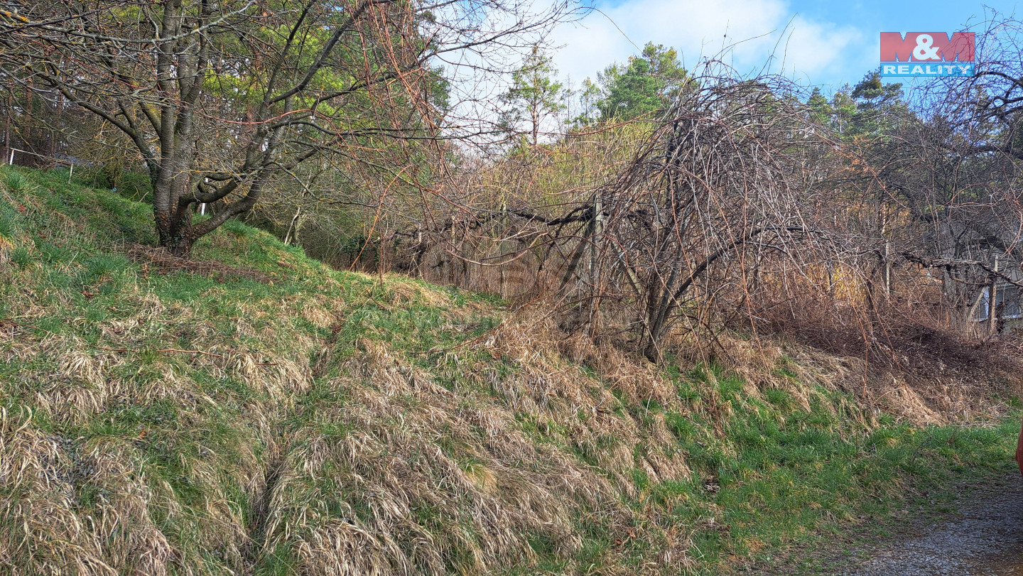 20250325_093445.jpg
