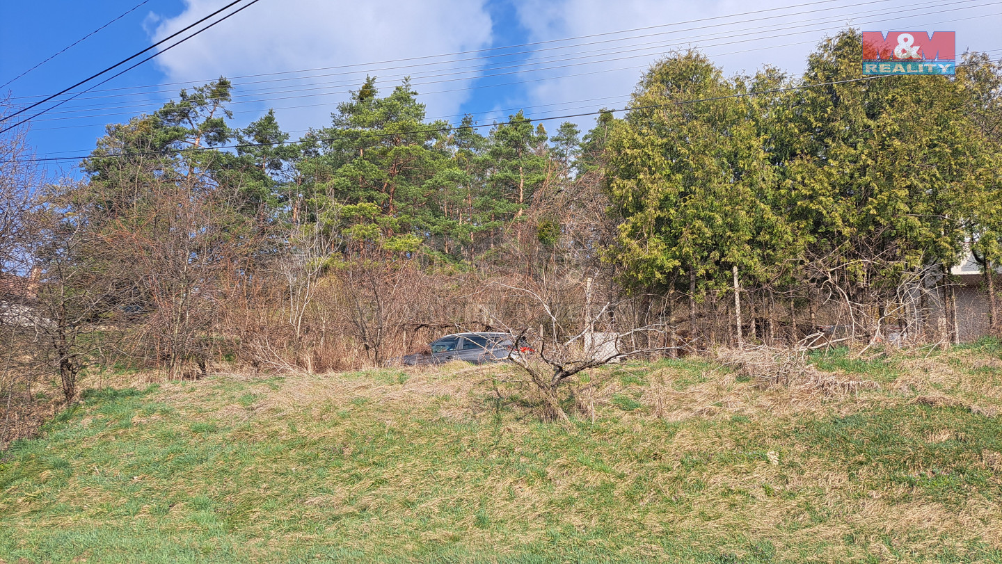 20250325_094447.jpg