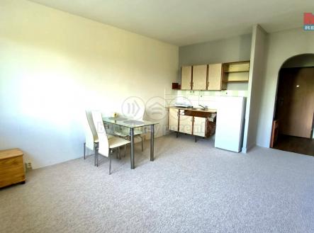 Pokoj s kuchyňským koutem | Pronájem bytu, 1+kk, 27 m²