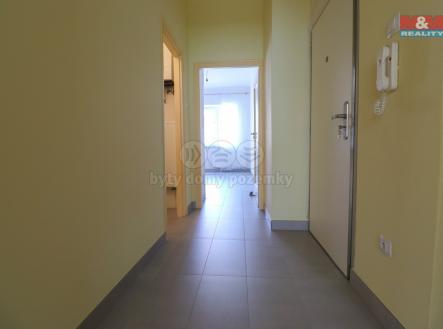 IMG_0293 (1).jpg | Pronájem bytu, 1+1, 46 m²