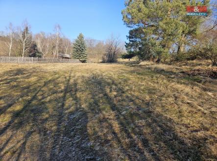 20240130_130611.jpg | Prodej - pozemek, trvalý travní porost, 668 m²
