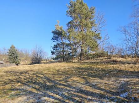20240130_130622.jpg | Prodej - pozemek, trvalý travní porost, 668 m²