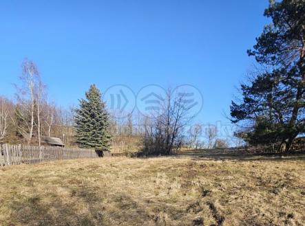 20240130_130634.jpg | Prodej - pozemek, trvalý travní porost, 668 m²