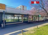 Pronájem - obchodní prostor, 265 m²