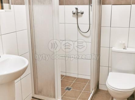 e059c0c1-d046-4f28-b77f-7a2ab658565c.jpg | Pronájem bytu, 1+kk, 27 m²