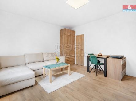 003.jpg | Pronájem bytu, 1+kk, 23 m²