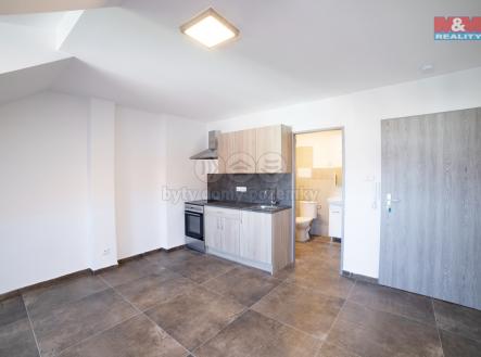 IMG_2061.jpg | Pronájem bytu, 1+kk, 25 m²