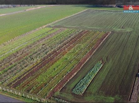 sa2.jpg | Prodej - pozemek, zemědělská půda, 9 979 m²