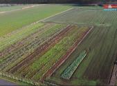 Prodej - pozemek, zemědělská půda, 9 979 m²