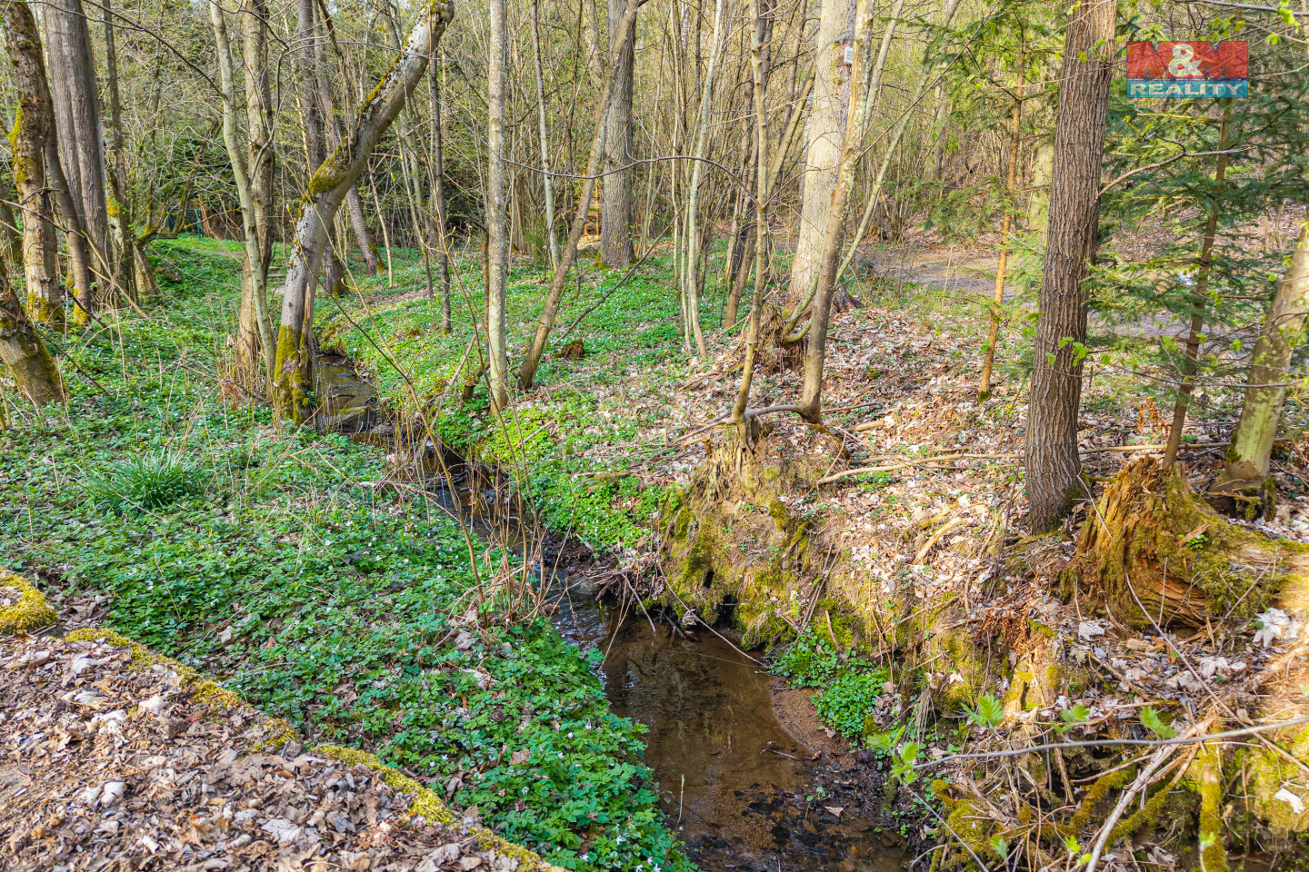 DJI_20250415180241_0008_D_DJI.jpg