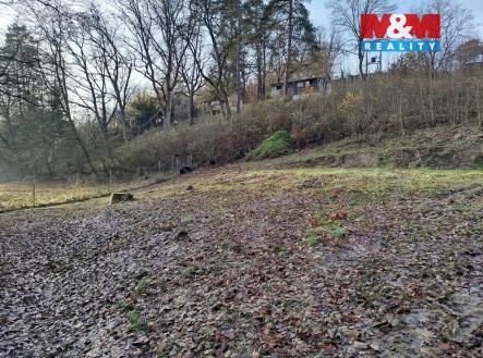 IMG_20251113_143756.jpg | Prodej - pozemek, zahrada, 934 m²