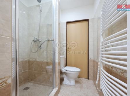 WC | Pronájem bytu, 2+1, 60 m²