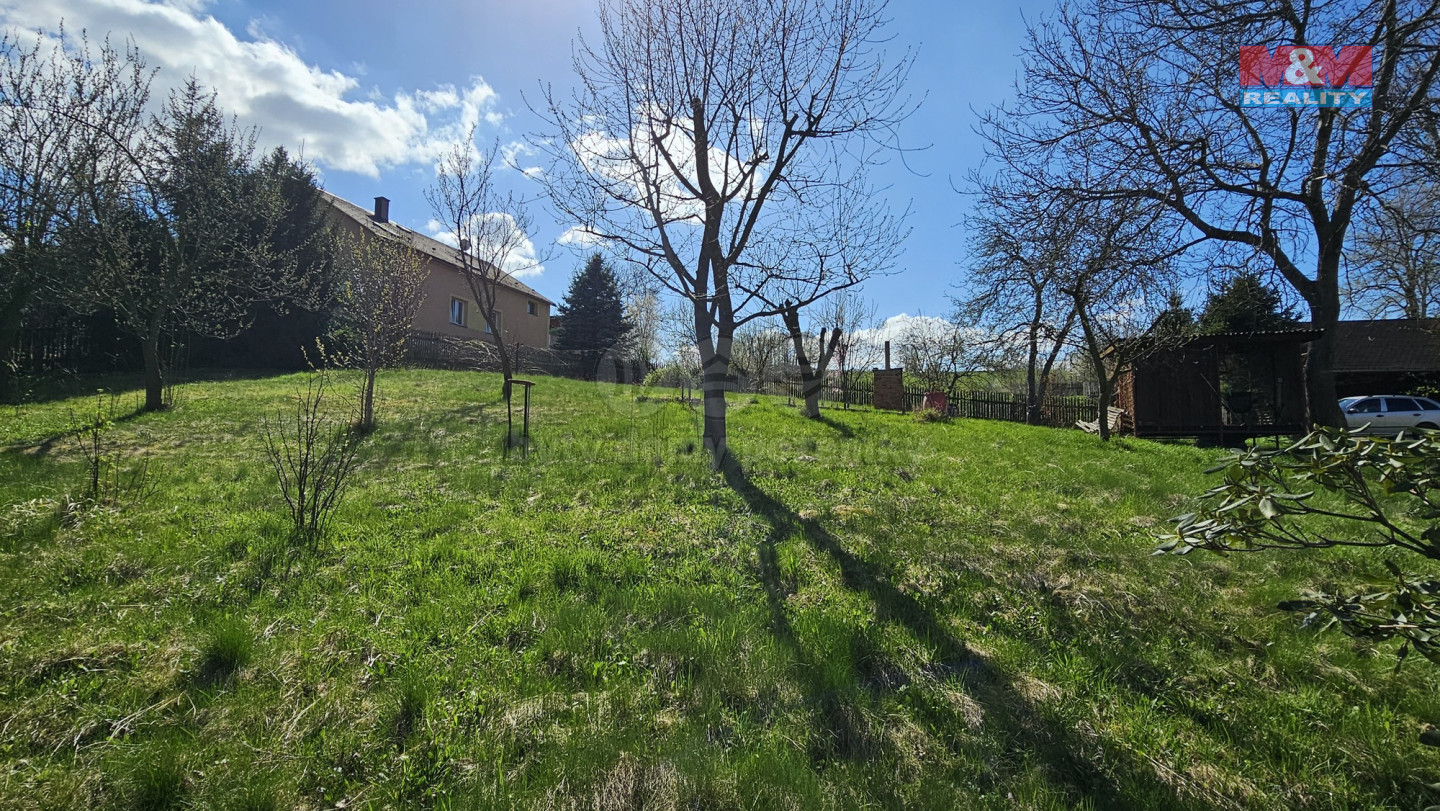 20250416_150838.jpg