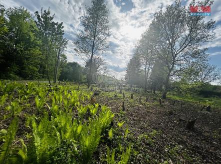 IMG_1031.jpeg | Prodej - pozemek pro bydlení, 830 m²