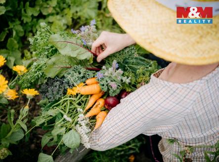 IMG_9861.jpg | Prodej - pozemek pro komerční výstavbu, 4 292 m²