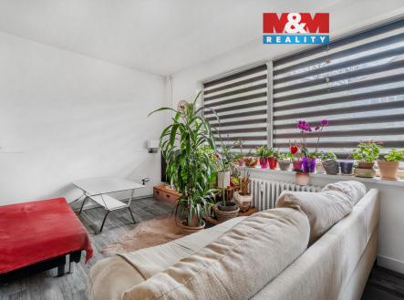 005.jpg | Pronájem bytu, 1+1, 31 m²